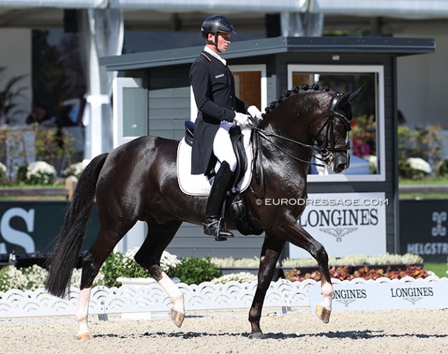 Matthias Rath and Thiago GS at the 2023 European Dressage Championships in Riesenbeck :: Photo © Astrid Appels