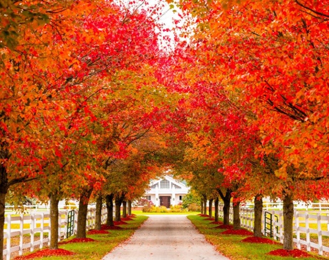 Hampton Green Farm in Fruitport, MI