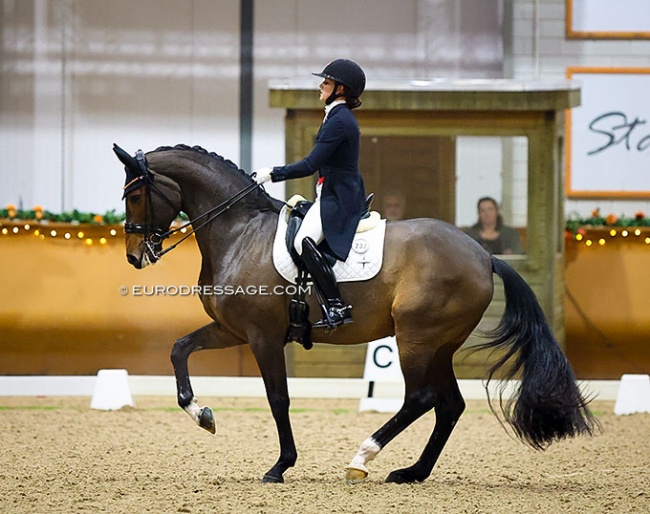 The 2023 CDI Kronenberg Indoor was all about the CDI debut of Cathrine Dufour and Mount St. John Freestyle and what a debut it was !! :: Photo © Astrid Appels