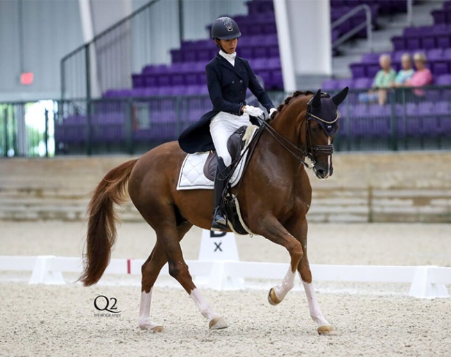 Ellesse Gundersen competing the home-bred Quintessential at the 2023 CDI Ocala in November which was the last time she rode for the Philippines :: Photo © Q2 Photographt