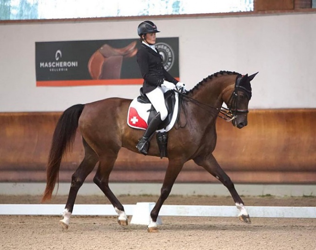 Flore Espina and Dartanan de Fangar at the 2023 CPEDI Ornago :: Photo © Caroline Schunk