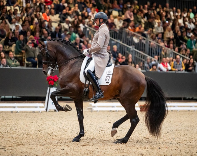 Jose Daniel Martin Dockx and Malagueno Lxxxiiii win the Grand Prix division at 2023 SICAB :: Photos © SICAB