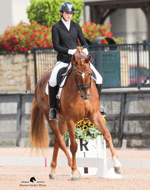 Virginia Woodcock on Mollegardens Sans-Souci at the 2023 CDN Tryon :: Photo © Sharon Packer
