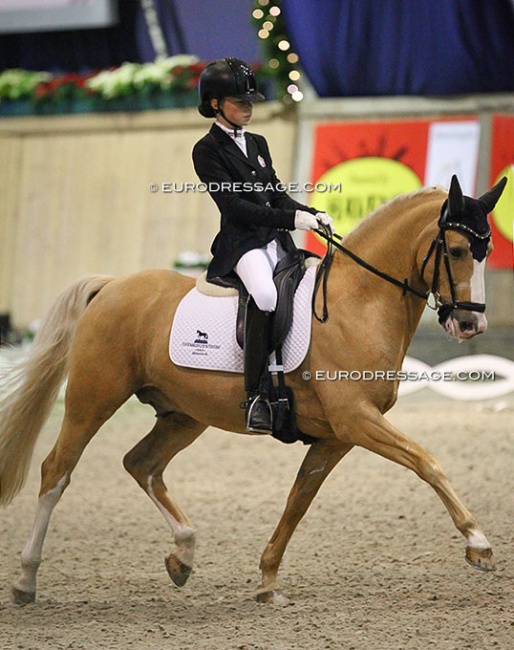 Hanna Hoffer and Macciato at the 2017 CDI Aachen Indoor :: Photo © Astrid Appels