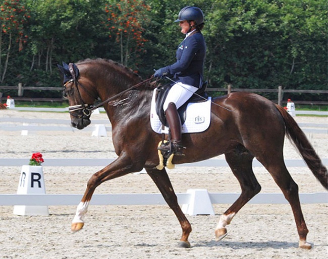 Julie Dossin and Kensington in the young horse classes in Belgium in 2020
