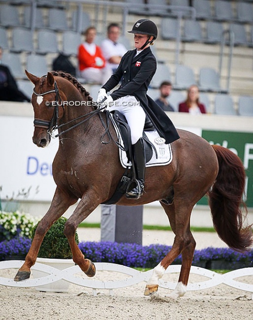 Sara Hyrm on Skovborgs Romadinov at the 2021 CDI-YR Aachen :: Photo © Astrid Appels