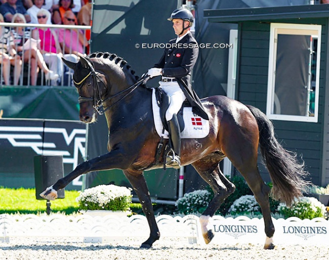 Andreas Helgstrand and Jovian at the 2023 European Dressage Championships :: Photo © Astrid Appels