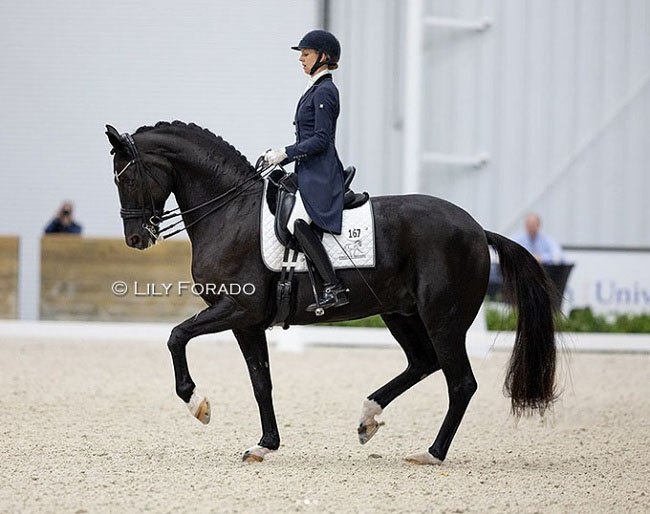 Laura Graves and SenSation FOD at the 2023 CDN Ocala :: Photo © Lily Forado