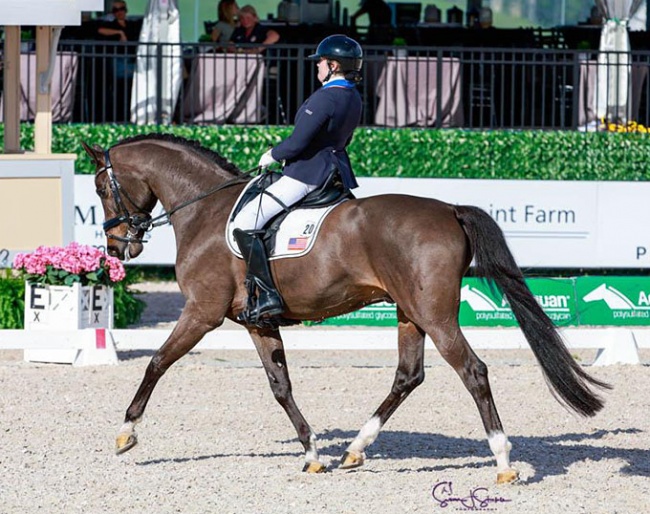 Beatrice de Lavalette and Sixth Sense at the 2024 CPEDI Wellington :: Photo © Sue Stickle