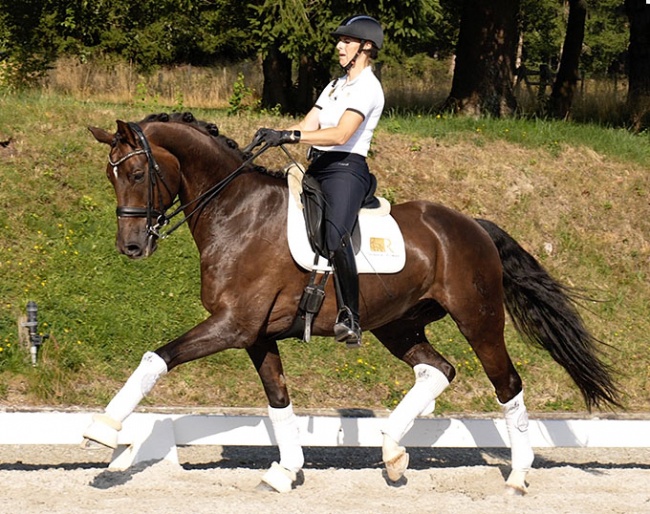 Fireball (by Franziskus x Donnerball)