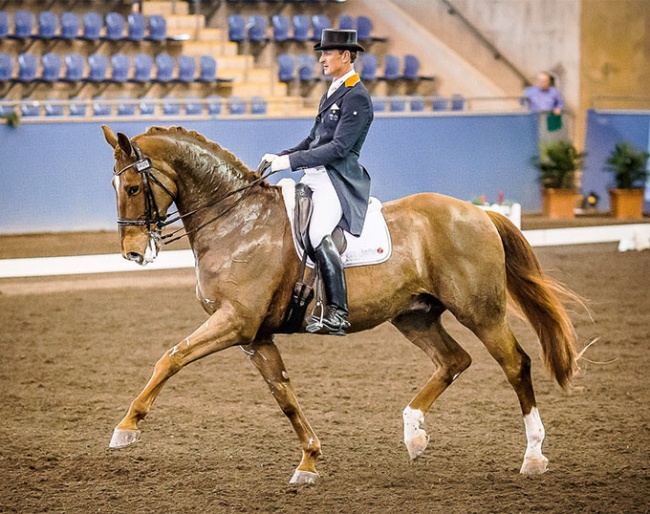 Brett Parbery and PPH Zeppelin at the CDI Sydney :: Photo © Sydney International Horse Show/Venhaus