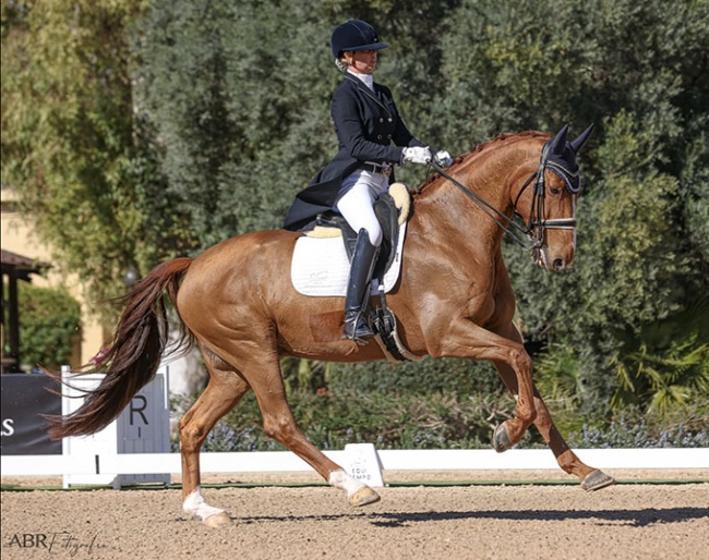 Natasja van den Bogaert on Hove's Zako at the 2023 CDI Jerez de la Frontera :: Photo © ABR Fotografie