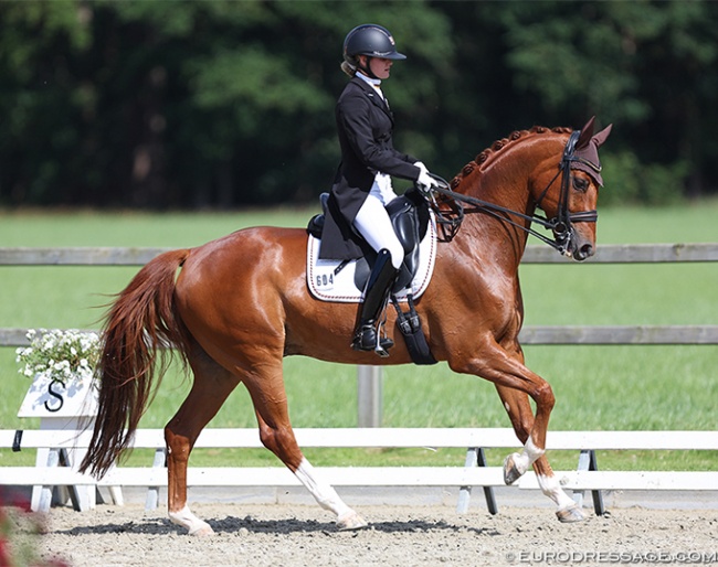 Annika Bork with Franz von Fidertanz at the 2022 CDI Meerle :: Photo © Astrid Appels