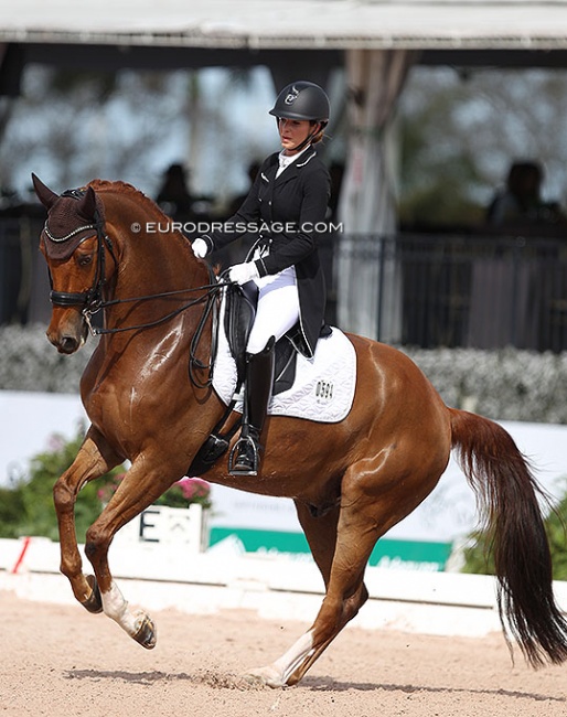 Venezuelan Patricia Ferrando and Honnaisseur SJ at the 2022 CDI Wellington :: Photo © Astrid Appels