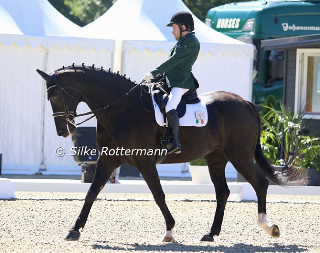 Michael Murphy at the 2023 European Para Dressage Championships :: Photo © Silke Rottermann