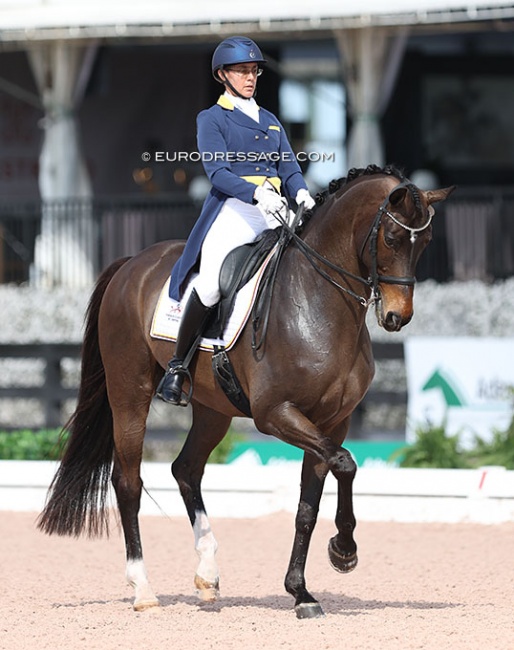 Carmen Franco makes her international Grand Prix debut on Vangens Star-Light  at the 2023 CDIO Wellington :: Photo © Astrid Appels