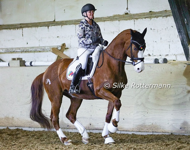 Uta Gräf on Sisco de Luxe, an eventer turned Grand Prix horse. Copybook piaffe by Sisco who flexes his joints, takes the weight, carries himself and on top of it remains calm and focused. What else do you wish for in this so demanding movement? :: Photo © Silke Rottermann