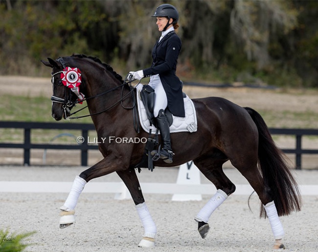 Jessica Howington and Serenade MF at the 2024 CDI Ocala :: Photo © Lily Forado