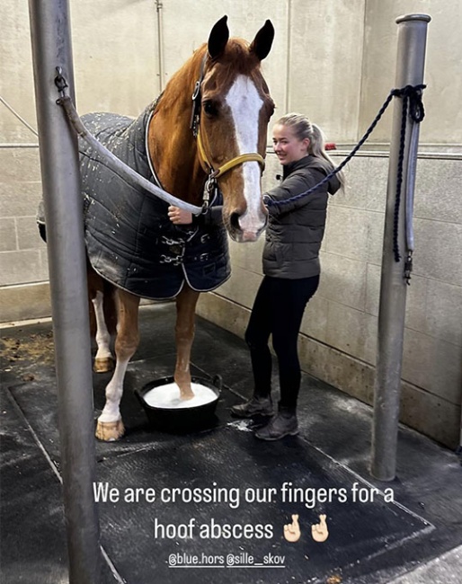 Nanna Merrald's top horse Blue Hors Zepter got withdrawn from this weekend's CDI-W Gothenburg because of a hoof abscess. Get well soon