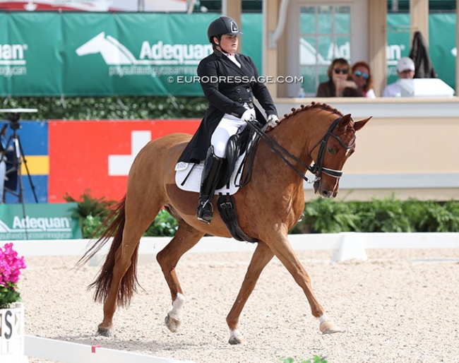 Tanya Stasser on Fidelis Tyme at the 2024 CDI-W Wellington on 8 February 2024 :: Photo © Astrid Appels