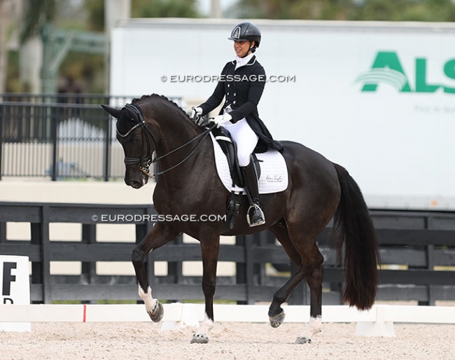 Genay Vaughn and Gino in the national Grand Prix class at the 2024 CDI-W Wellington :: Photo © Astrid Appels