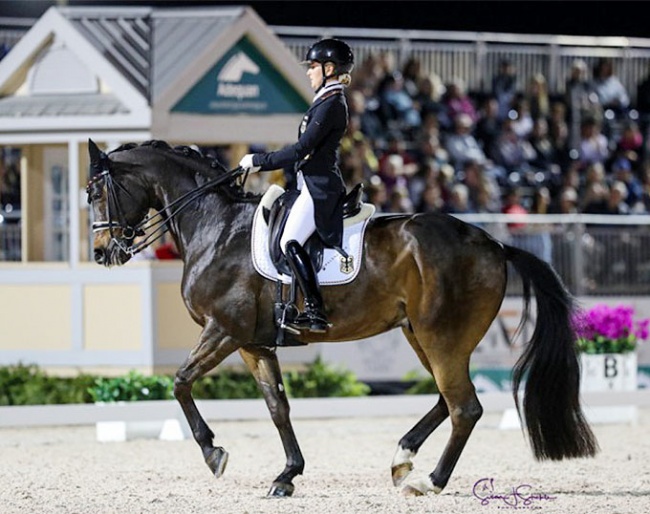 Felicitas Hendricks and Drombusch at the 2024 CDIO Wellington :: Photo © Sue Stickle