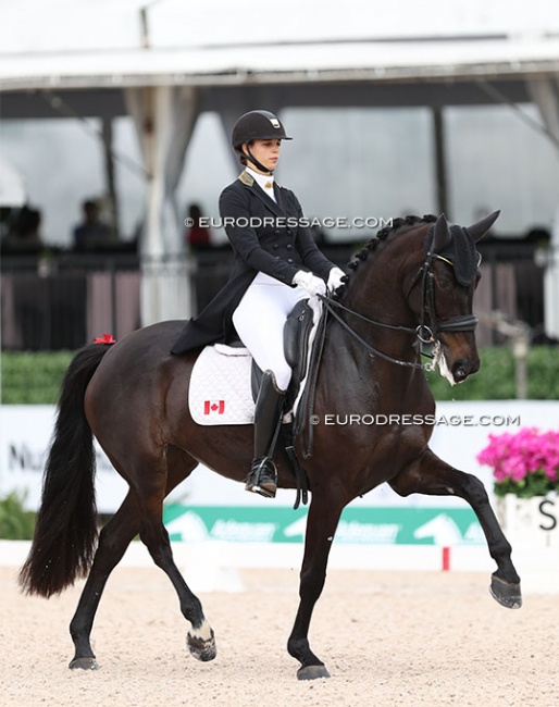 Naima Moreira Laliberté on Jaliska LD at the 2024 CDIO Wellington :: Photo © Astrid Appels