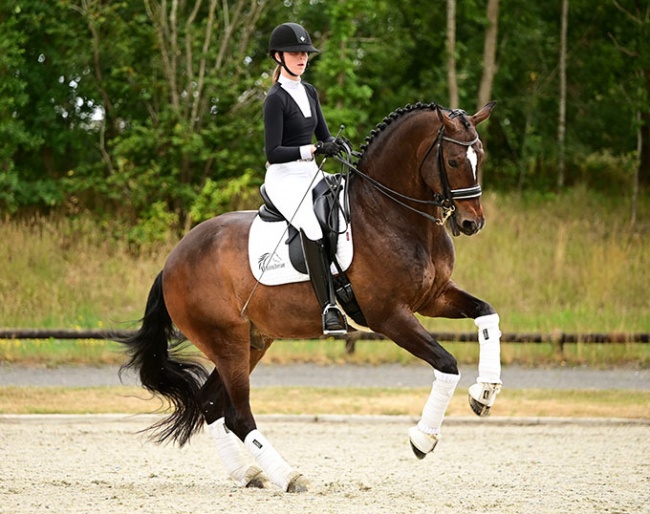 Gant (by Bon Bravour x Krack C)