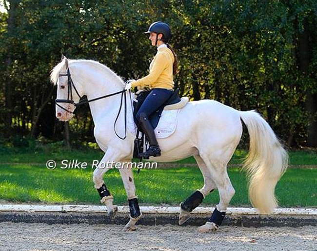 Dania Mattaliano on Russian Olympic team horse Balagur at Monica Thedorescu's yard near Warendorf :: Photo © Silke Rottermann