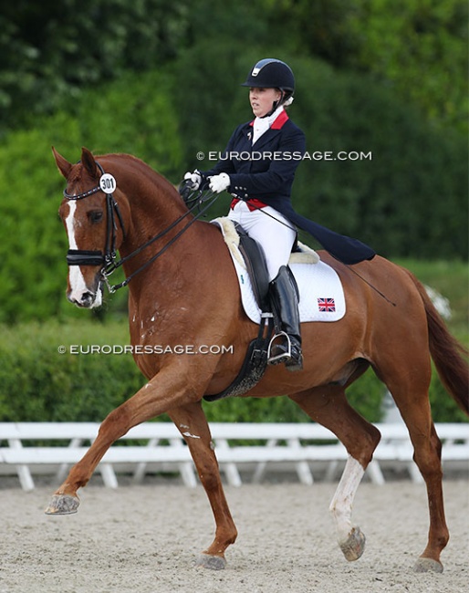 Sophie Wells and Pinocchio at the 2014 CDI Roosendaal :: Photo © Astrid Appels