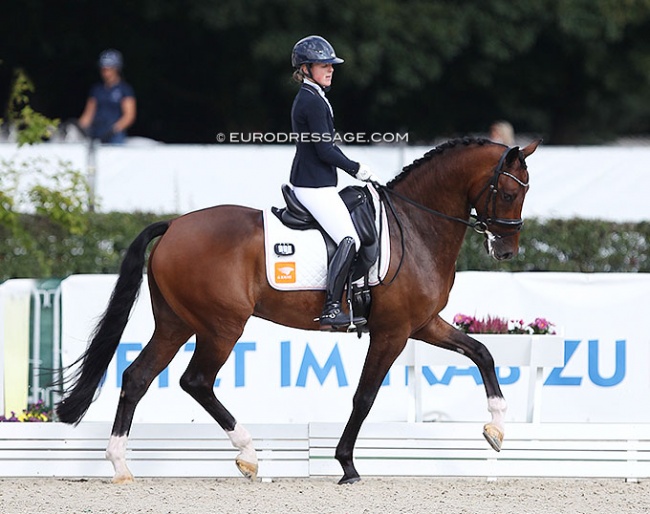 Femke de Laat and Kind Pleasure at the 2021 World Young Horse Championships in Verden :: Photo © Astrid Appels