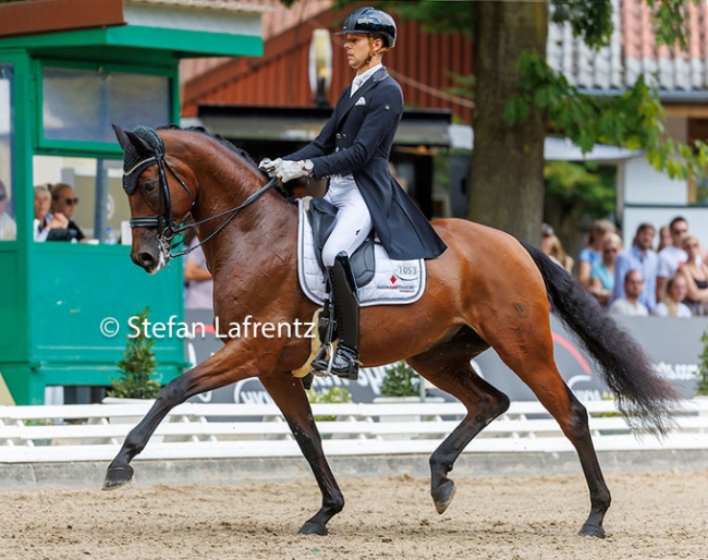Thomas Schulze and Forever Valentine NRW at the 2022 Bundeschampionate :: Photo © Stefan Lafrentz