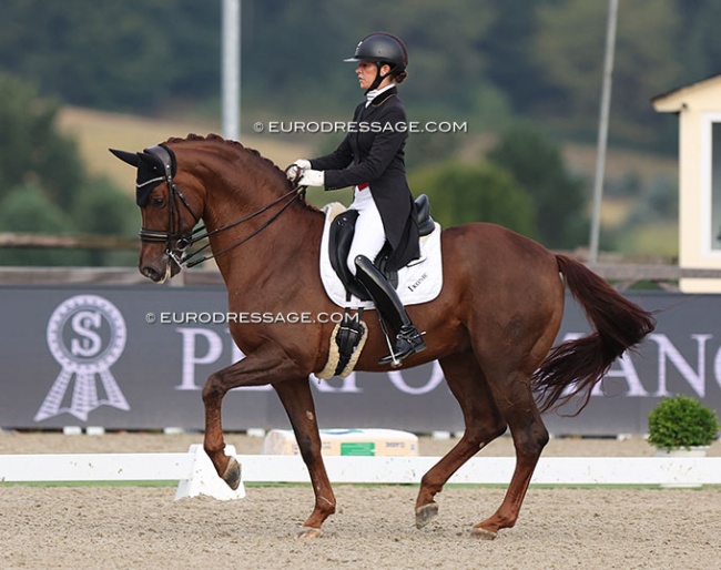 Larissa Pauluis and First Step Valentin at the 2023 CDI Hagen September edition :: Photo © Astrid Appels