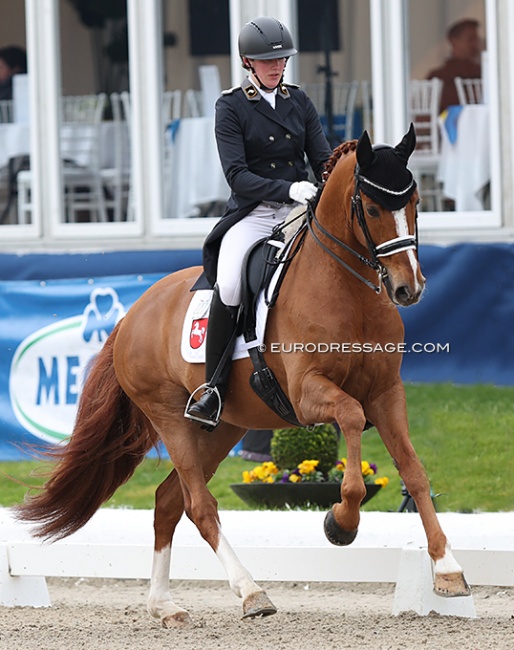 Catja Thomsen on the former Celle state stud breeding stallion Dohnanyi at the 2023 CDN Hagen :: Photo © Astrid Appels