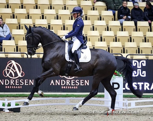 Anne Troensegaard and Slangerupgaards Saffron win the 2024 Danish Warmblood Championship for 5-year olds :: Photos © Ridehesten