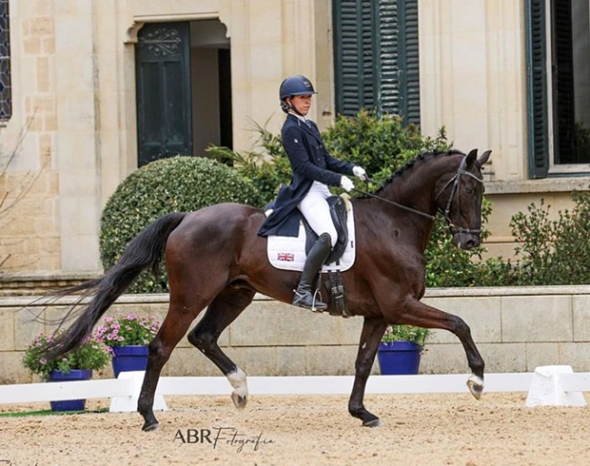 British Emma Howson competing Junky XL at the 2024 CDI Jerez de la Frontera :: Photo © ABR Fotografia