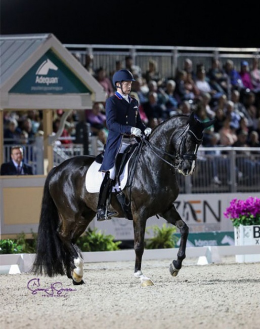Kevin Kohmann and Dünensee at the 2024 Palm Beach Dressage Derby :: Photo © Sue Stickle