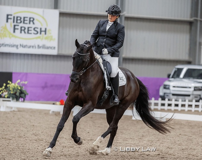 Hannah Burden and River Park Belafonte at the 2024 New Zealand Young Horse Championships :: Photos © Libby Law