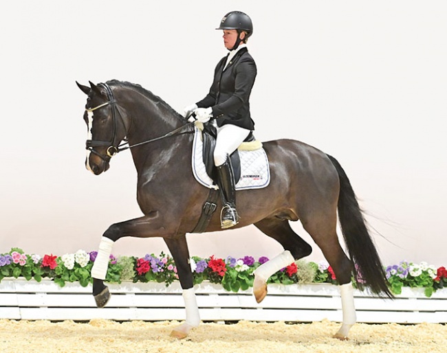 Kira Wulferding on Diamonds Detto (by Diamond Deluxe x Foundation x Sunny-Boy)