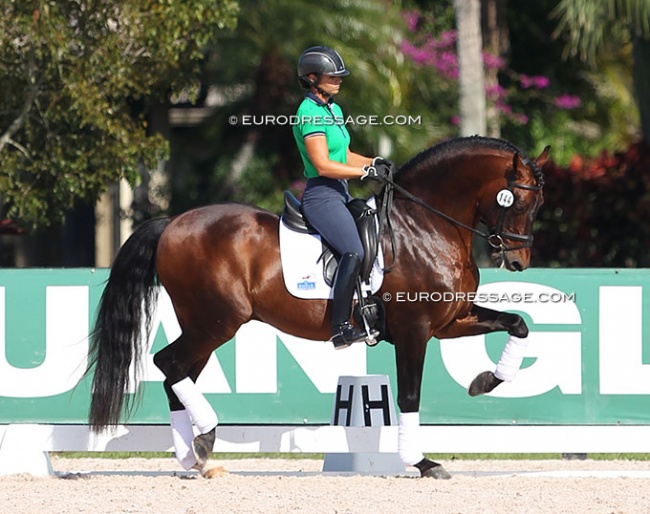 Allison Brock on OS Nervi at the Palm Beach Dressage Derby :: Photo © Astrid Appels