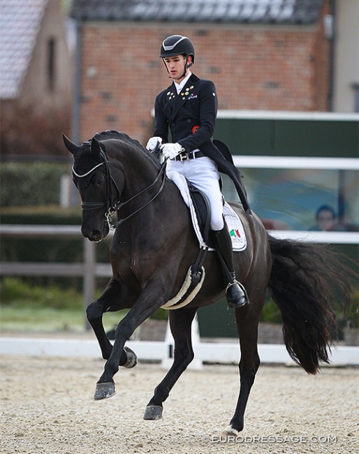 Moritz Treffinger and Superstition at the 2022 CDI Opglabbeek :: Photo © Astrid Appels