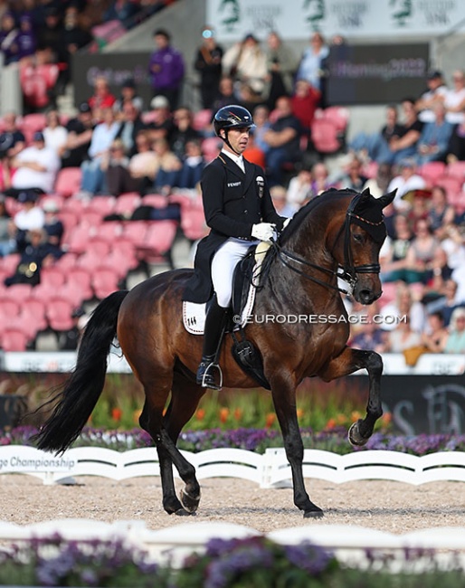 Benjamin Werndl and Famoso OLD at their career highlight show, the 2022 World Championships in Herning :: Photo © Astrid Appels