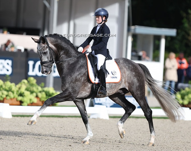 Phoebe Peters and Everest in the 4-YO challenge at the 2023 World Young Horse Championships :: Photo © Astrid Appels