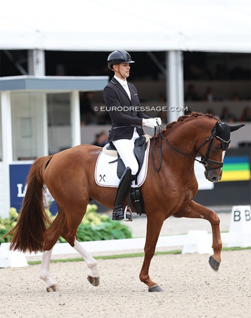 Thomas Schulze and Beck's at the 2023 World Young Horse Championships :: Photo © Astrid Appels