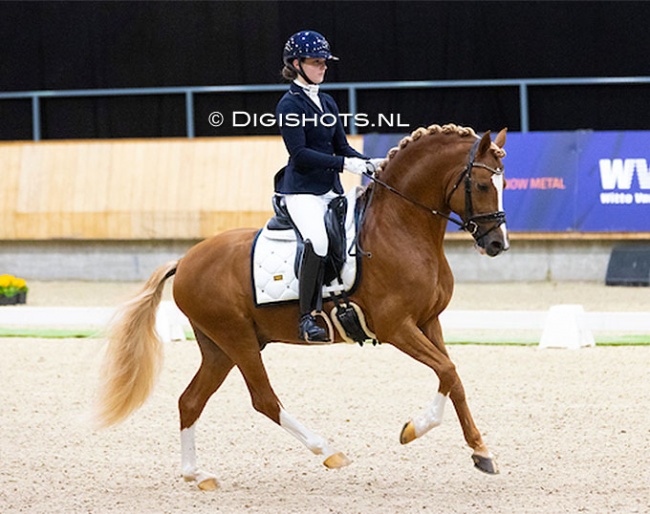 Sophie van der Steen and His Royal Badness DK at the 2024 Dutch Indoor Championships :: Photo © Digishots