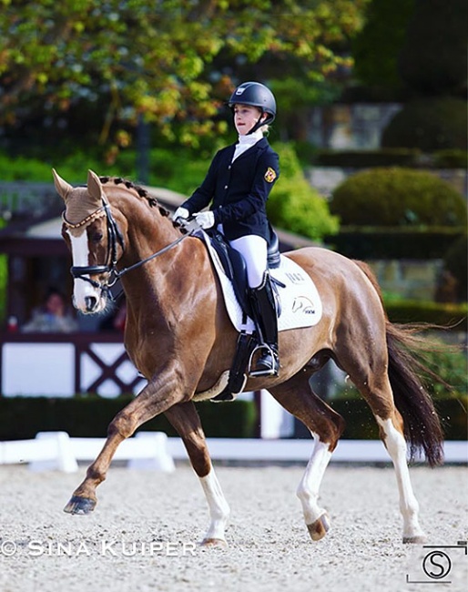 Helena Kornes on Bardolino (by Belissimo M x Rivero II) at the PDB qualifier in Kronberg :: Photo © Sina Kuiper