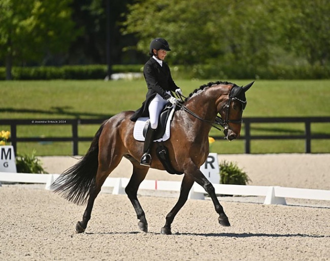 Mikala Munter and MSJ Charmer at the 2024 CDI Ocala :: Photo © Andrew Ryback