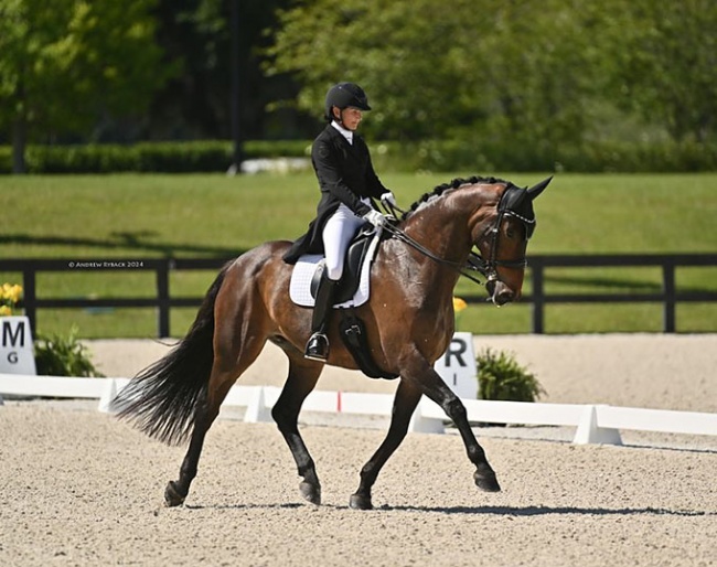 Mikala Munter and MSJ Charmer at the 2024 CDI Ocala :: Photo © Andrew Ryback