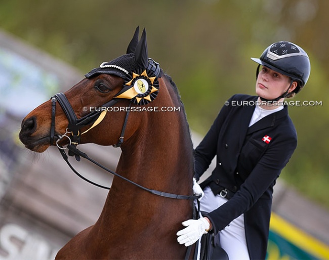 Danish junior rider Caroline S. Jørgensen on Poker König at the 2024 CDI Sint-Truiden :: Photo © Astrid Appels