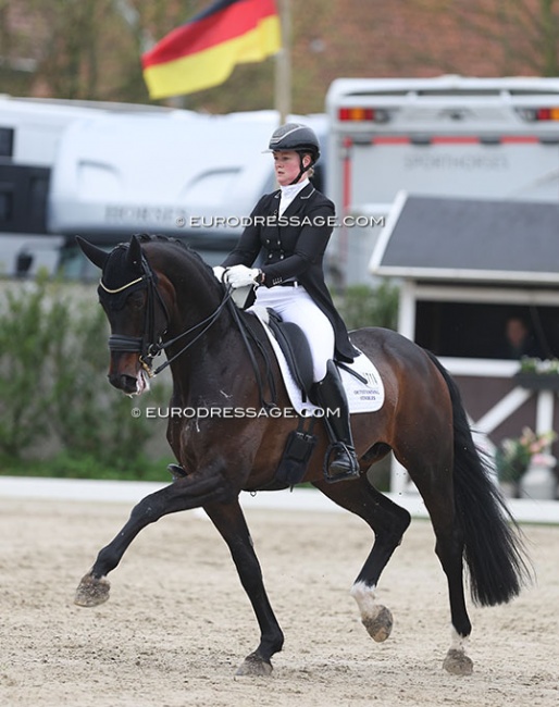Malin Wahlkamp-Nilsson on Sam at the 2024 CDI Sint-Truiden :: Photo © Astrid Appels